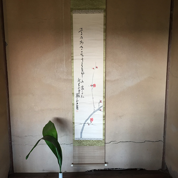 梅の季節0